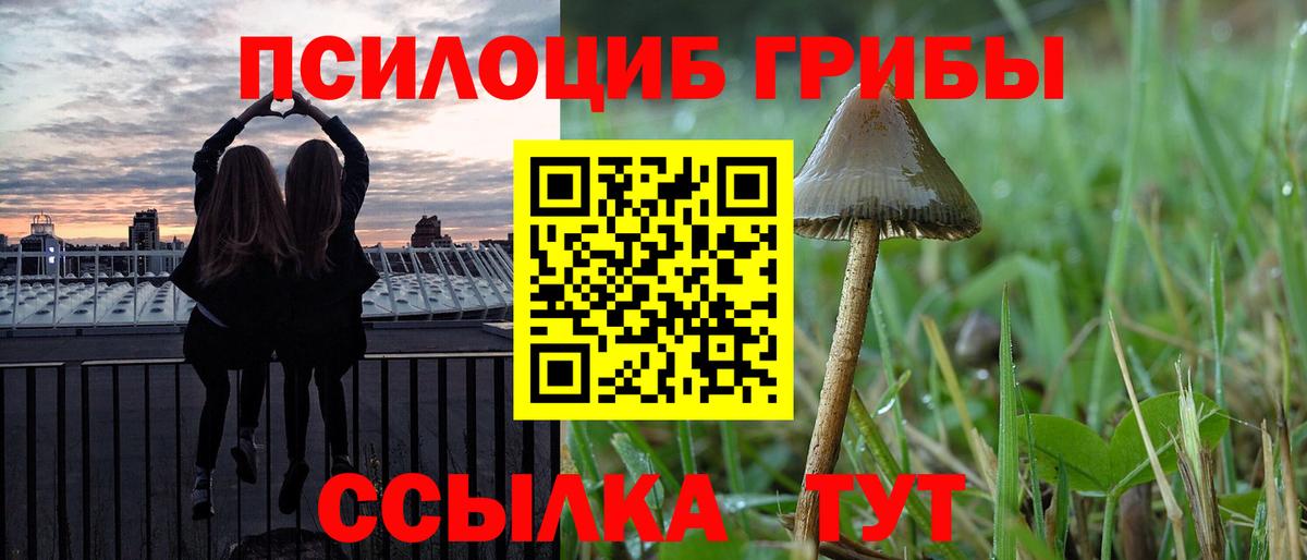 Псилоцибиновые грибы Cubensis  Галлюциногенные грибы мицелий  Наро-Фоминск  хочу наркоту  Вход с VPN 